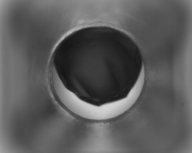 X0000054731518200508171838.png