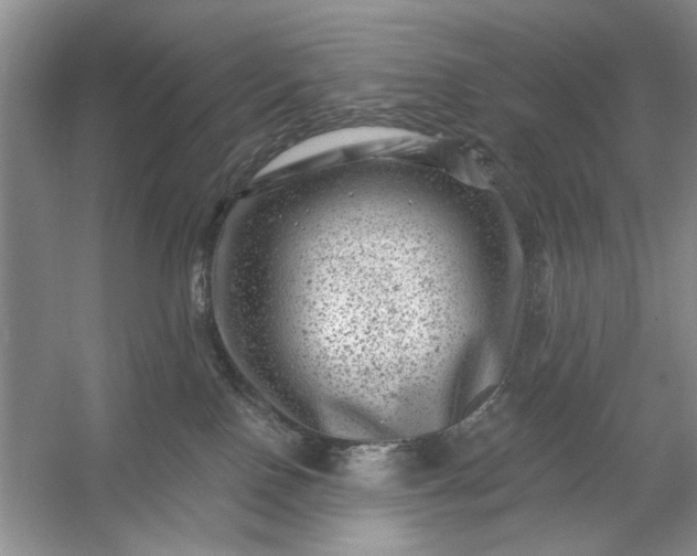 X0000054300090200508042321.png