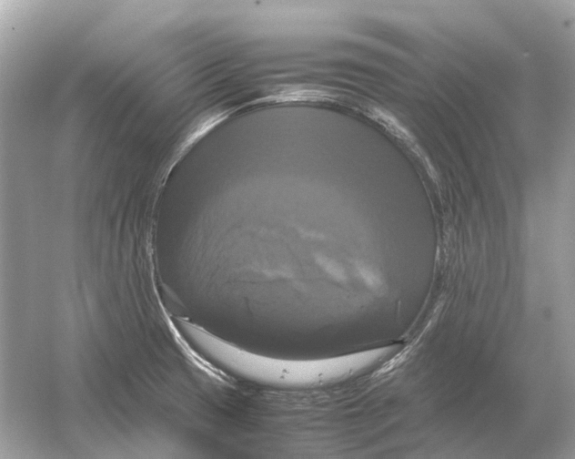 X0000054351425200508190116.png