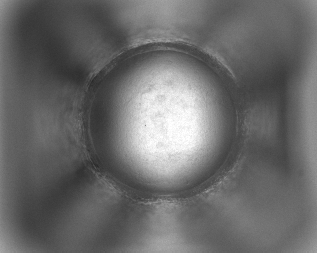 X0000052450874200507211311.png