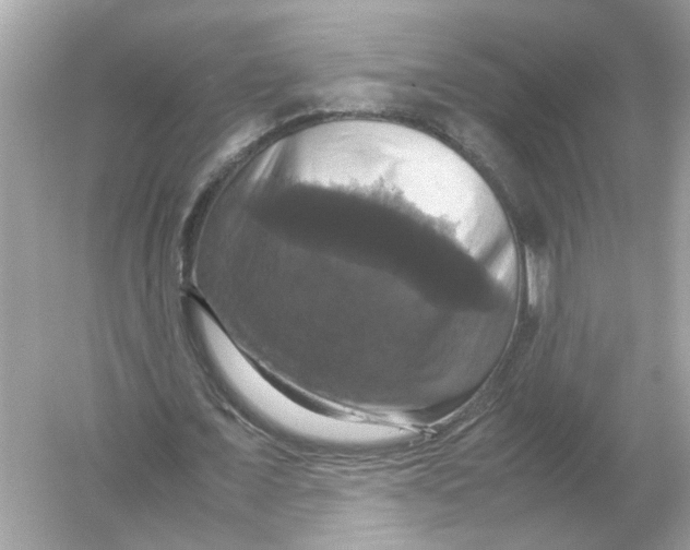 X0000054350675200508190129.png