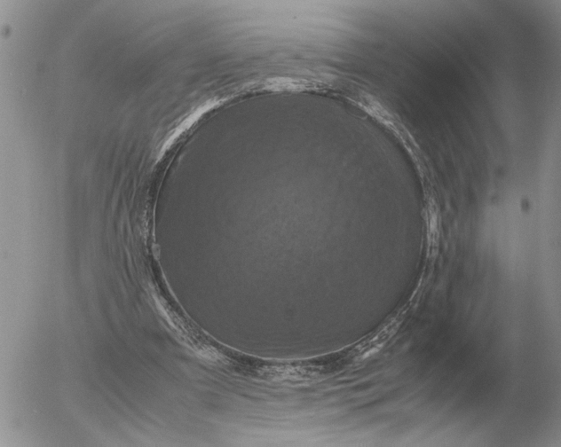 X0000054170297200508101806.png