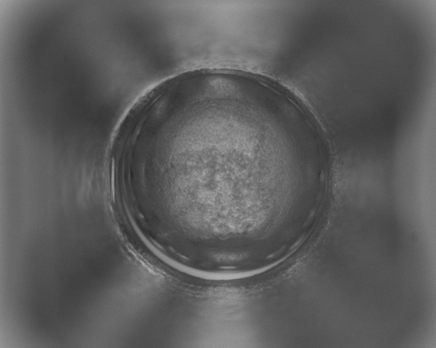 X0000052281123200507132021.png