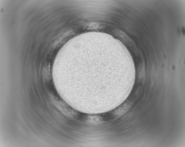 X0000054230376200508171518.png