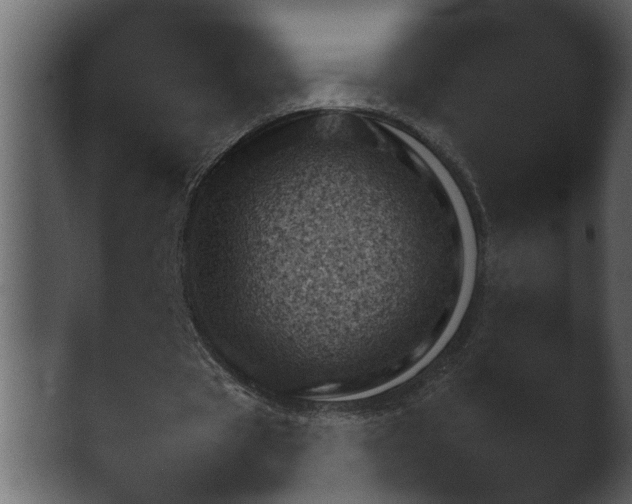 X0000043160529200411300947.png