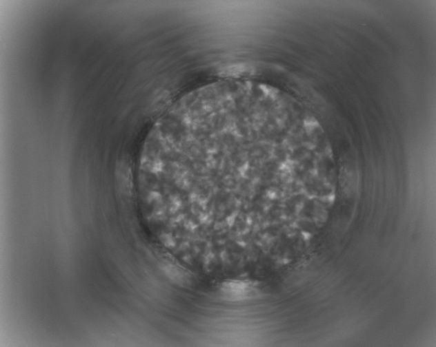 X0000053460375200508112203.png