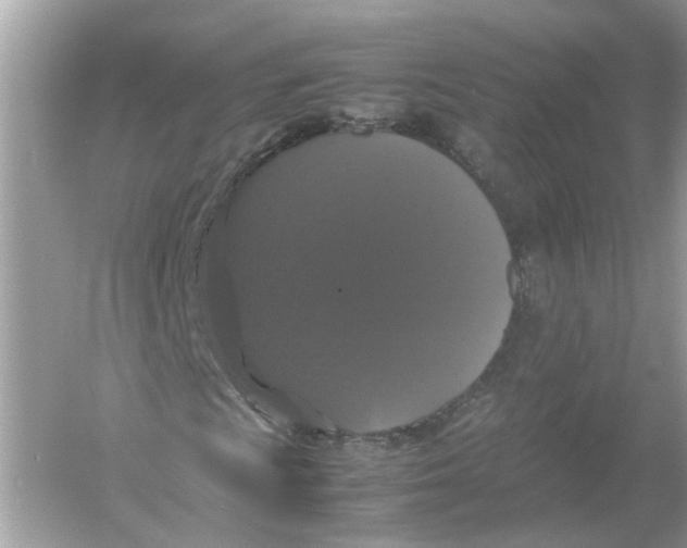 X0000054351009200508190122.png