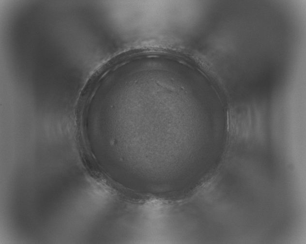 X0000052150204200507052000.png