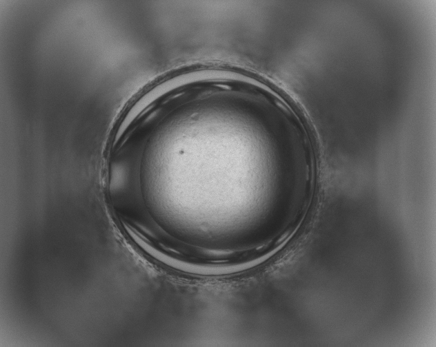 X0000038850799200410131826.png