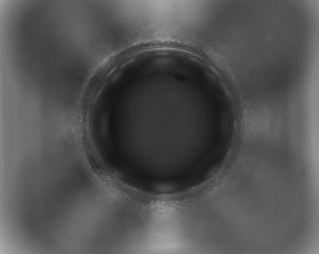 X0000054730680200508171852.png