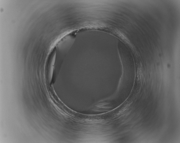 X0000054170722200508101759.png