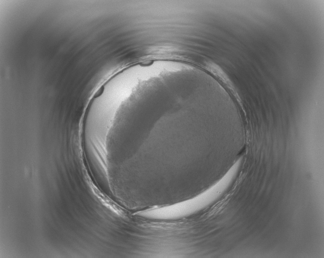 X0000054351386200508190117.png