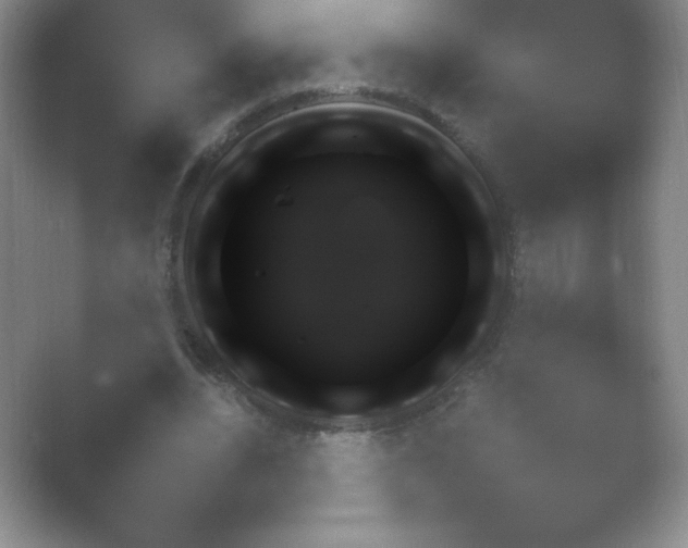 X0000054730440200508171856.png