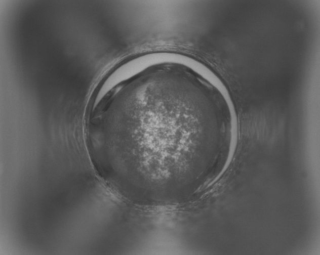 X0000052710147200508022320.png