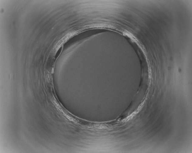 X0000054170993200508101755.png