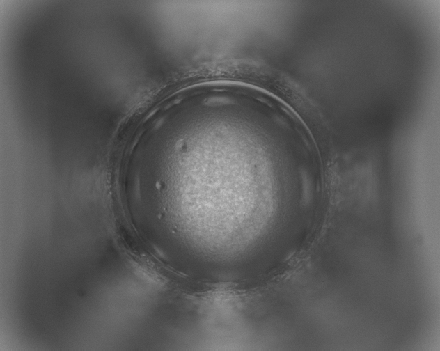X0000052280250200507132036.png