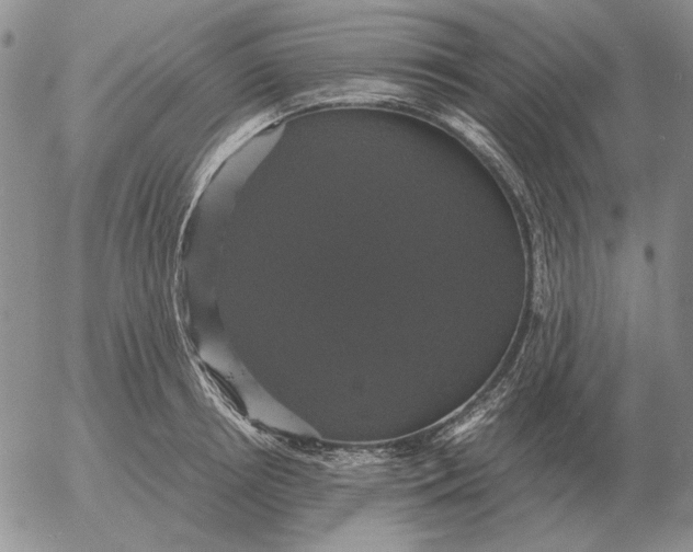 X0000054170850200508101758.png