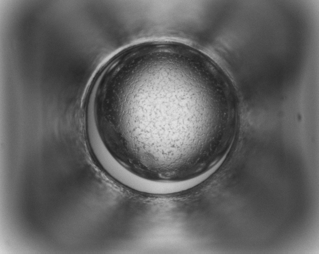 X0000043781004200412291320.png