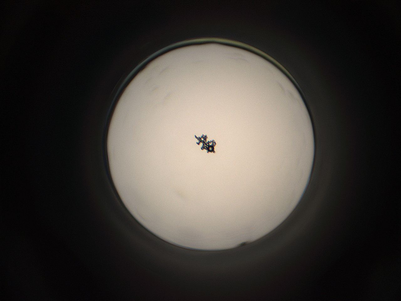 05g7_D19_ImagerDefaults_1.jpg