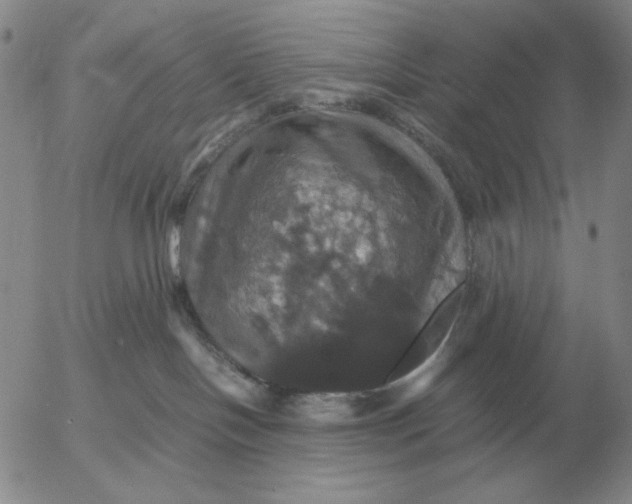 X0000054170094200508101811.png