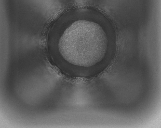 X0000038920576200409291008.png