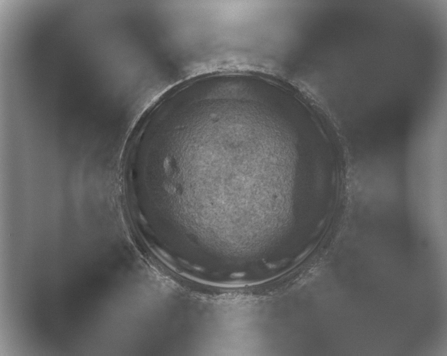 X0000052151081200507051945.png