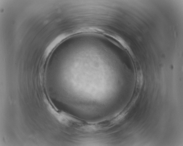 X0000054651054200508091636.png