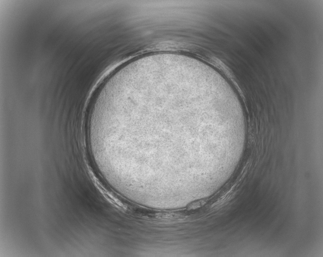 X0000054270795200508261914.png