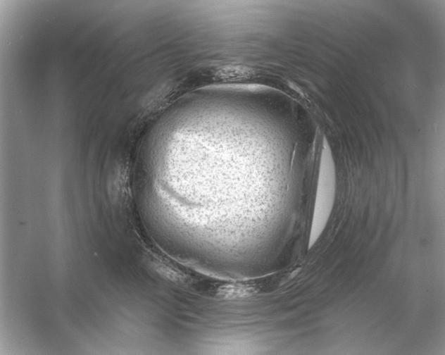 X0000054300714200508042310.png