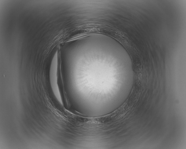 X0000055210696200508301322.png