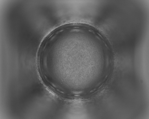 X0000052280990200507132024.png