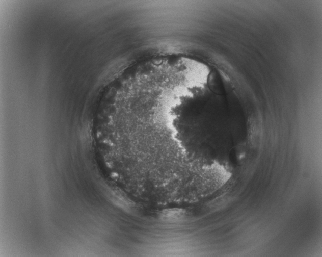 X0000053460410200508112202.png