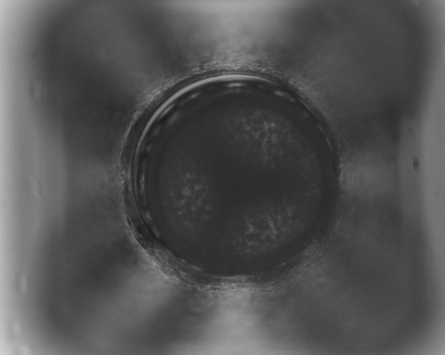 X0000042170626200411151551.png