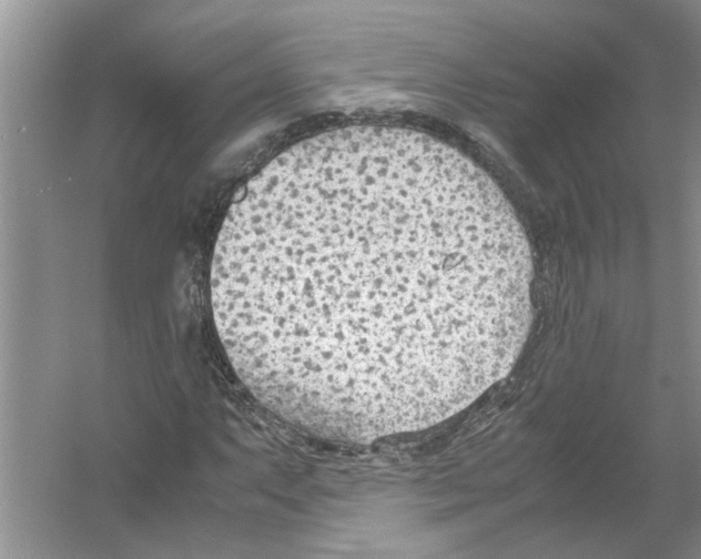 X0000054271063200508261910.png