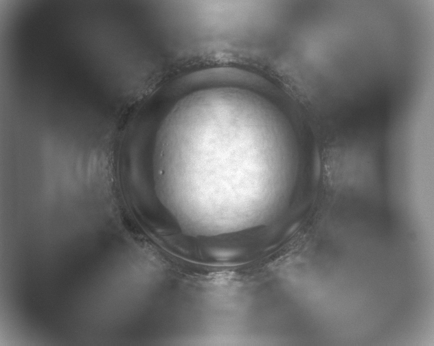 X0000052450410200507211319.png