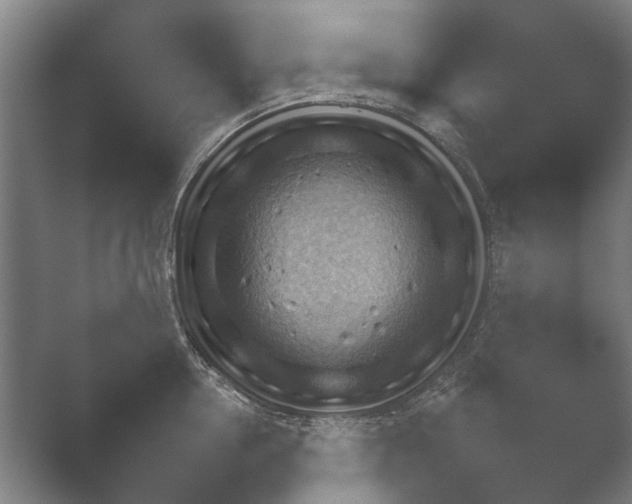 X0000052280954200507132025.png