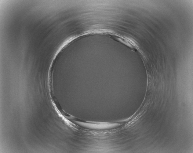 X0000054351046200508190123.png