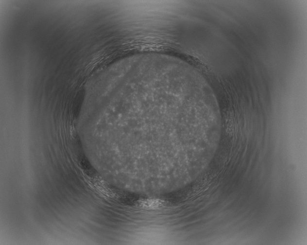 X0000055210695200508301322.png