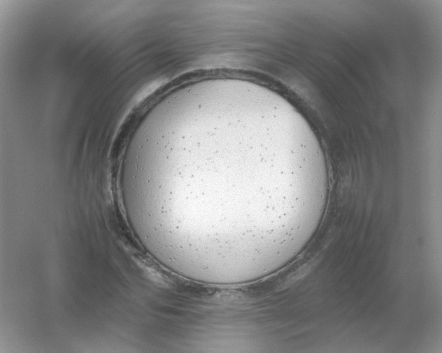 X0000054330974200508111914.png