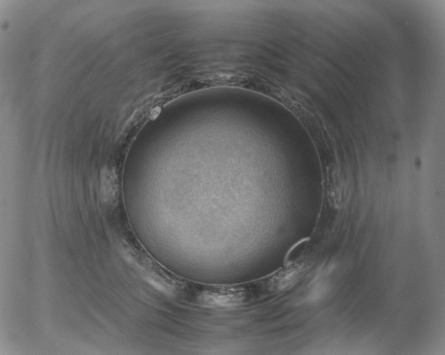 X0000054650563200508091644.png