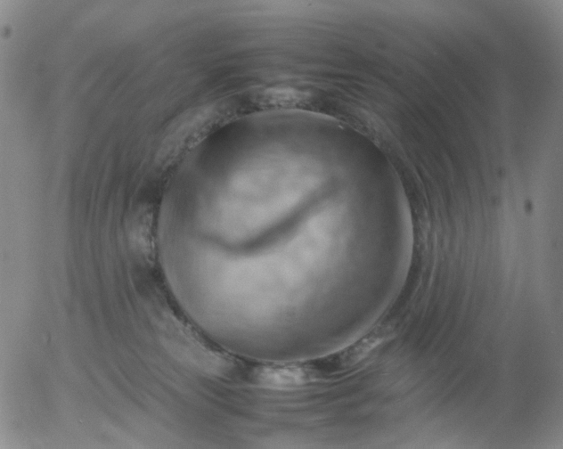 X0000054650181200508091651.png