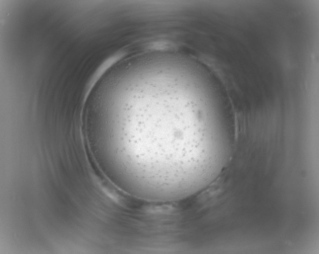 X0000054330147200508111928.png