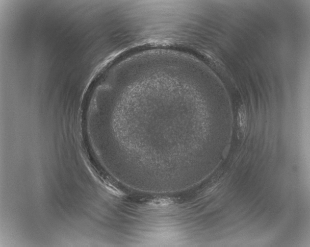 X0000054300492200508042314.png