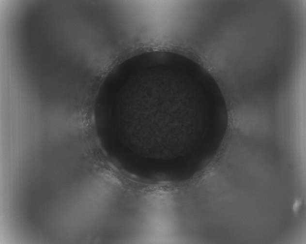 X0000054731010200508171846.png