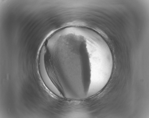 X0000054351248200508190120.png