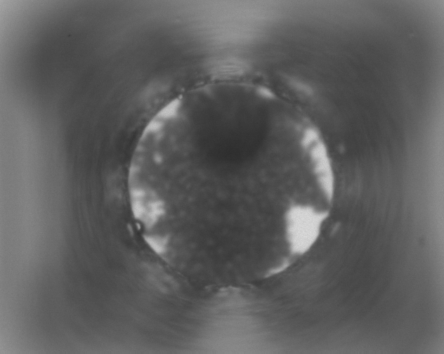 X0000053461445200508112145.png