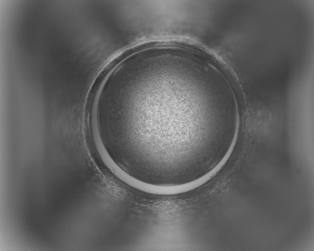 X0000052711229200508022302.png