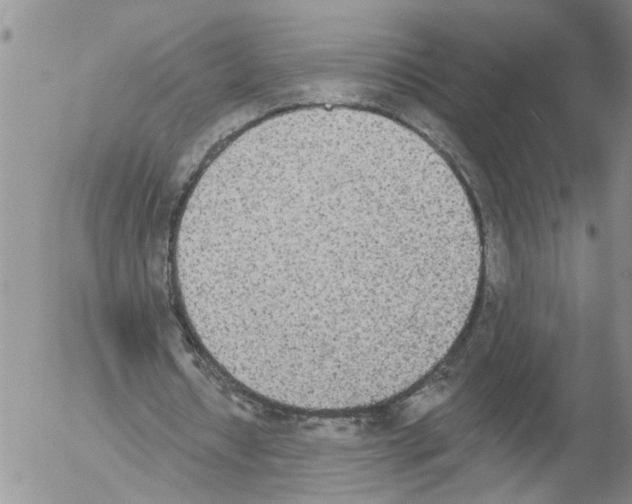 X0000054580434200508300105.png