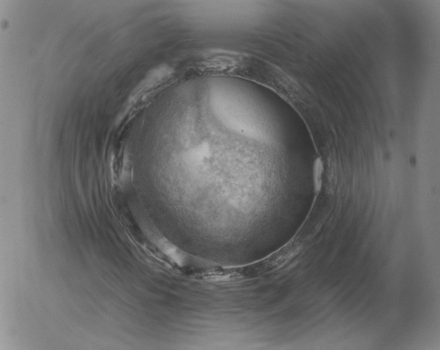 X0000054651394200508091629.png