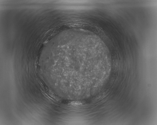 X0000055210749200508301321.png